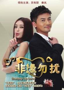 皮皮奶 – 银色女警 [33P 1V 90MB]